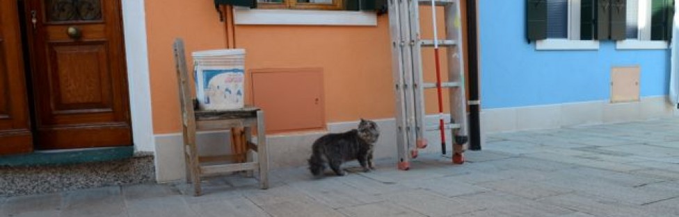 イタリア：ベネチア離島の美しい街と猫